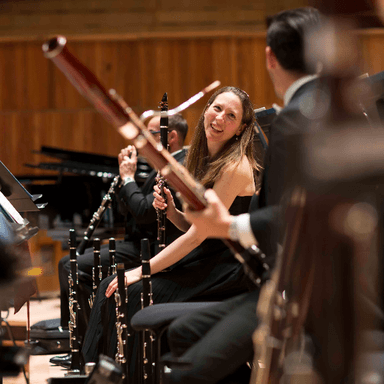 Hero image for Elgar: Enigma Variations